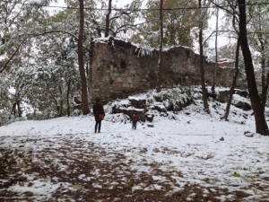 IMG_1730