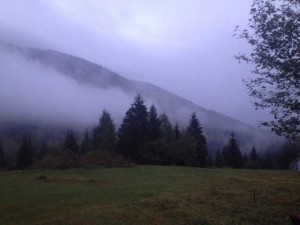 IMG_1775