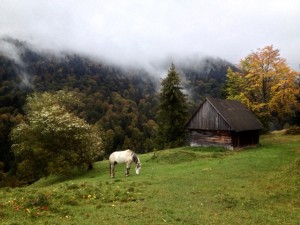 IMG_1873