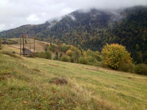 IMG_1992