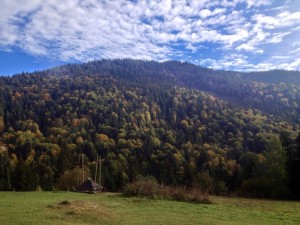IMG_2166