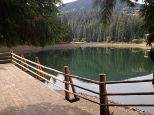 IMG_2277