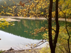 IMG_2320