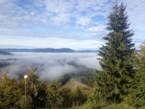 IMG_2350