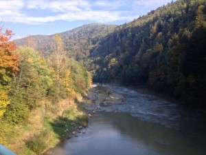 IMG_2563