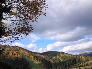 IMG_2881