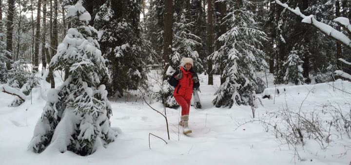 в зимнем лесу
