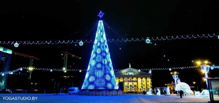 новый год 2019